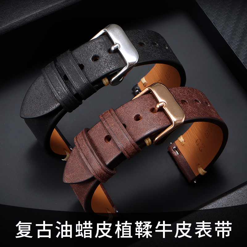 Citizen Genuine Leather Watch  - đánh giá và giá Citizen Watch Promaster