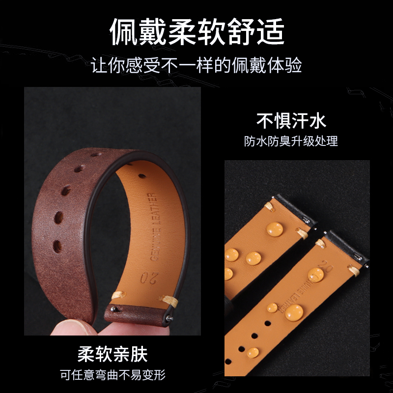 Citizen Genuine Leather Watch  - đánh giá và giá Citizen Watch Promaster