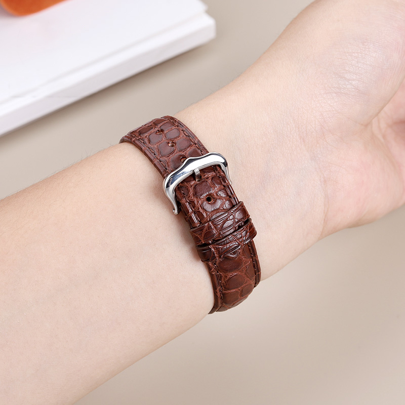 16mm 17 18 19 21 22mm Genuine  - đánh giá và giá Cartier Watch Tank