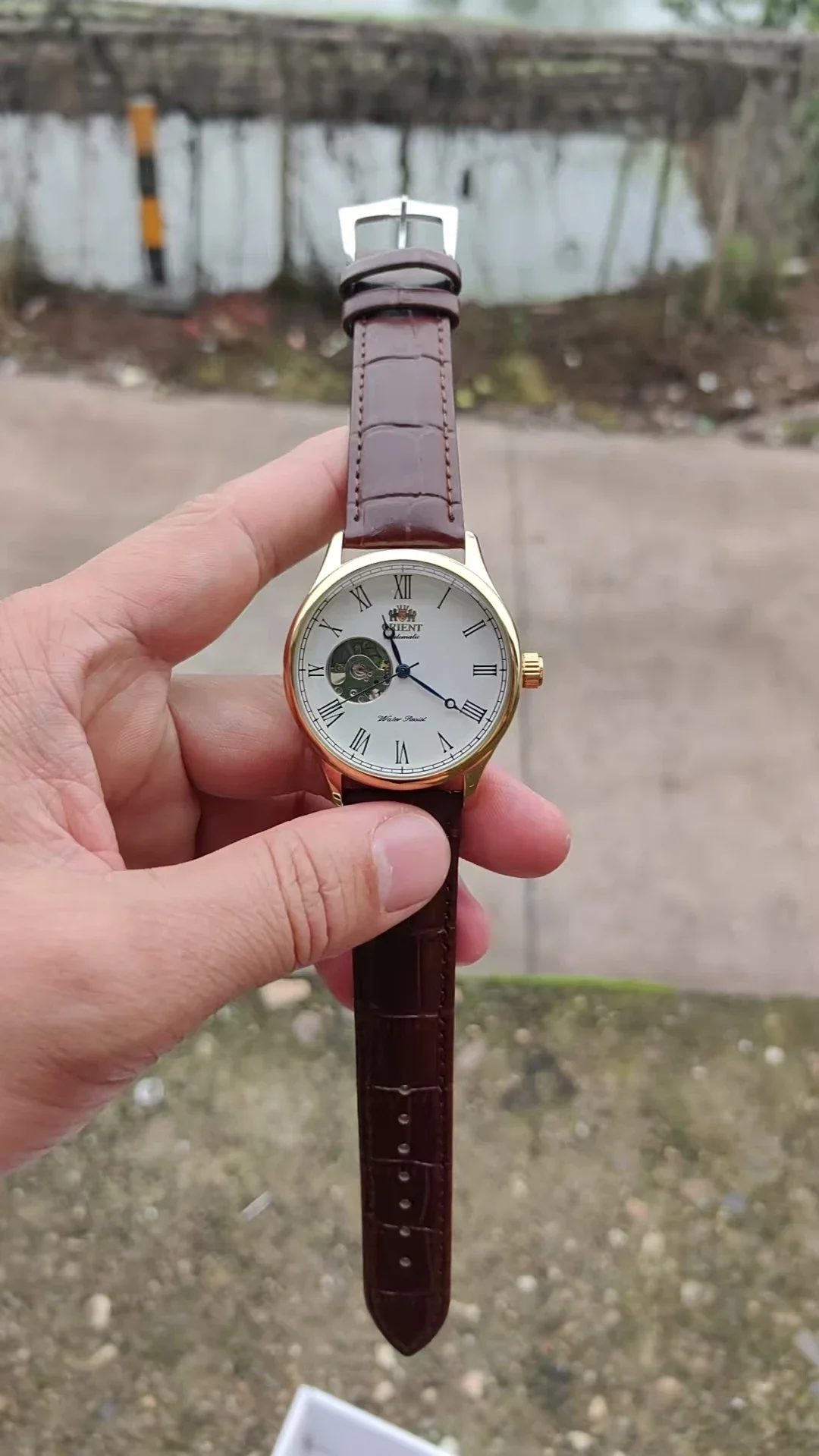 DFDG Mechanical Skeleton Watch - đánh giá và giá Seiko Watch Presage